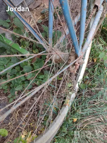 Старинно колело марка Лястовица , снимка 6 - Други ценни предмети - 41900960