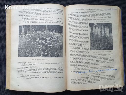 Цветарство Тираж - 1500 броя Учебник , снимка 4 - Специализирана литература - 41142458