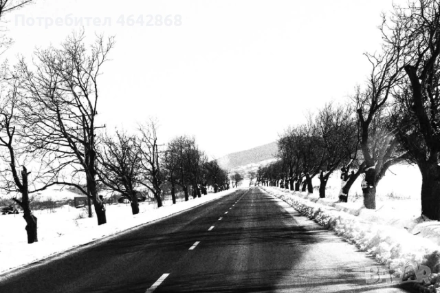 Фотографски услуги , снимка 11 - Фотографи - 53210411