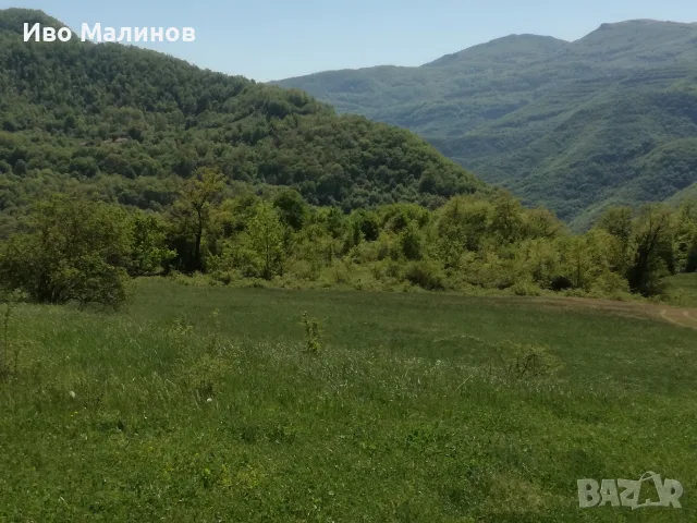 продавам два имота в село Лакатник , снимка 18 - Земеделска земя - 55769447