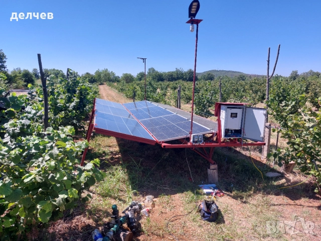 Продавам лешникова градина на 11 години