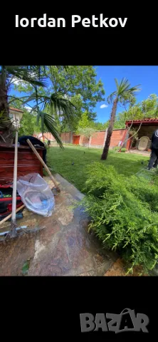 📍📍📍Тревен чим 25 лв. за кв/м. цената включва: тревен чим, товаро-разтоварна дейност, полагане и м, снимка 3 - Градински цветя и растения - 50381448