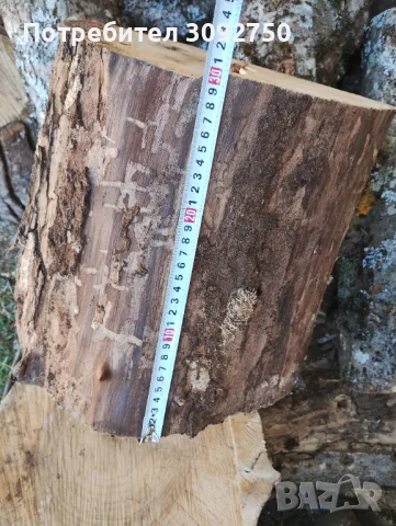 Орехови трупчета , снимка 5 - Други - 47603409