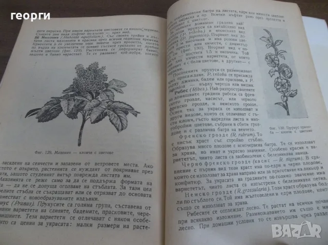 Книга за градиняря, снимка 7 - Други - 55780585