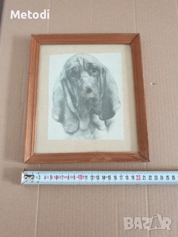 Стара снимка на куче в дървена рамка., снимка 3 - Антикварни и старинни предмети - 42248300