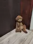 Продавам мини пудел, снимка 4