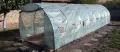 Покривало полиетиленово за оранжерия 3×8×2м=24кв.м, снимка 5