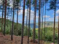 Земя за продажба в Лещен, България – панорамна гледка към планината и готови строителни планове, снимка 5