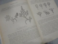 № 8416 стара книга "Практическо ръководство по лозарство"  автор - Митко Ников , снимка 3