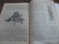 Книга за градиняря, снимка 7