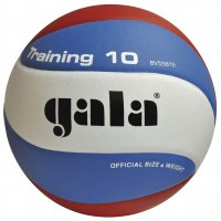 Волейболна топка GALA Training 10 - BV 5561 S нова 