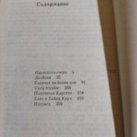 Теодор Щорм - Именското езеро , снимка 8 - Художествена литература - 41516019