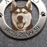 Медальон за кучета, снимка 3 - За кучета - 41464794