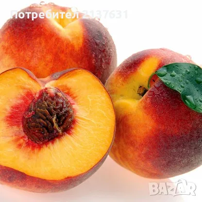 ДРЪВЧЕТА за ЗАСАЖДАНЕ : ПРАСКОВА , КАЙСИЯ  , СЛИВА , снимка 1