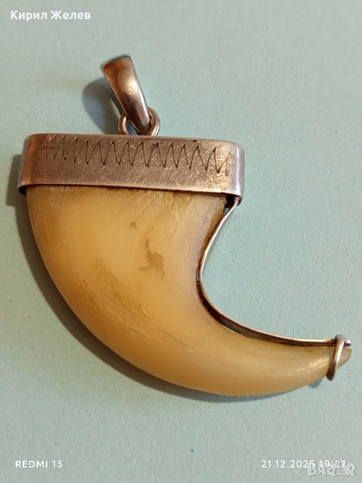 Сребърен медальон с тигров нокът с Индийски дизайн и сребърен обков 51789, снимка 1