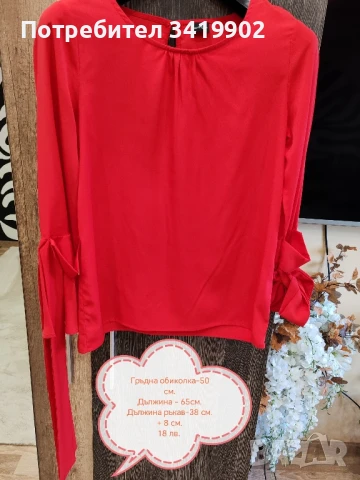 Дамски ризи, снимка 15 - Ризи - 40592364