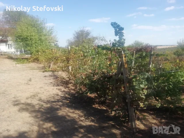 Къща във местността Орлето.  , снимка 6 - Къщи - 56293521