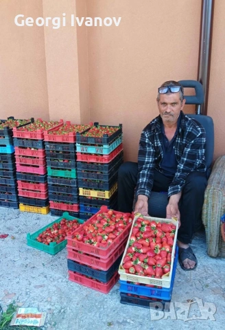 Расат Ягуди и Малини