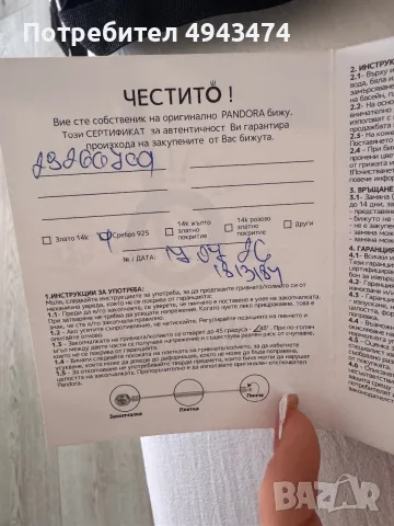 Обеци на Пандора, снимка 3 - Обеци - 55992128