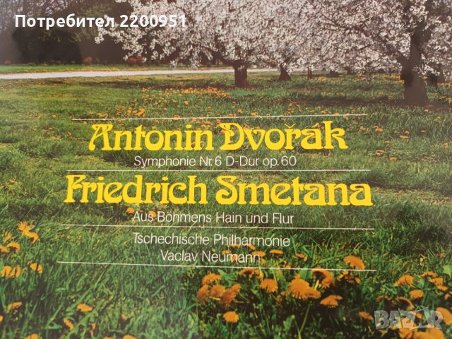 DVORJAK-SMETANA, снимка 2 - Грамофонни плочи - 41378628