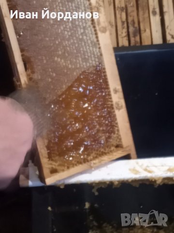 Пчелен Мед , снимка 6 - Пчелни продукти - 39001383