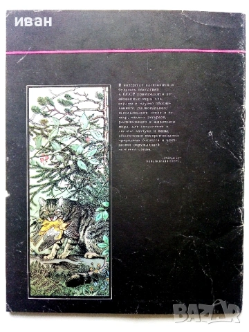 Они должны жить - Млекопитающие - М.В.Черкасова - 1982г., снимка 10 - Енциклопедии, справочници - 53111114