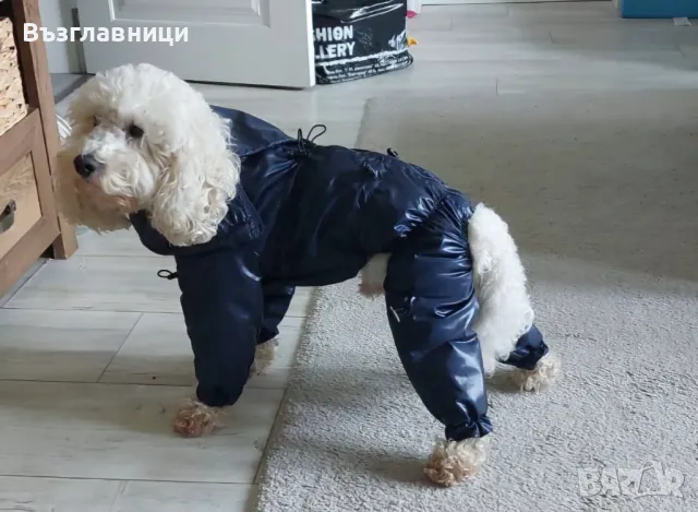 Дъждобран гащеризон, гети и нашийник, снимка 15 - За кучета - 48490167