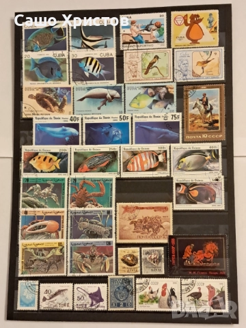 Пощенски марки тема ”Животни”., снимка 9 - Филателия - 52699226