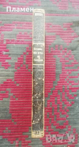 Седемь погачи за Господа Мирославъ Миневъ /автограф/, снимка 4 - Антикварни и старинни предмети - 34708497