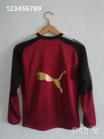 Newcastle United Puma оригинална блуза тренировъчна Нюкасъл Юнайтед размер S, снимка 2 - Блузи - 52123350