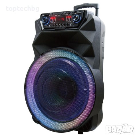 Караоке тонколона 18 инча ЕК 1935 800W с 2 безжични микрофона, снимка 3 - Тонколони - 41402948