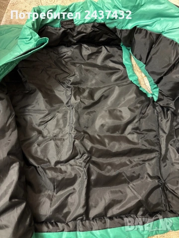 Зелена грейка, снимка 5 - Други - 53829538