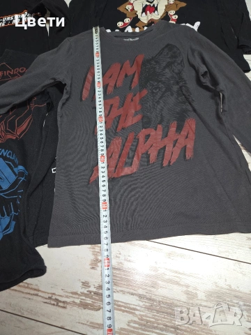 Лот от четири блузи 146-152см, снимка 7 - Детски Блузи и туники - 53372971