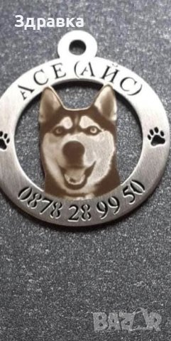 Медальон за кучета, снимка 3 - За кучета - 41464794