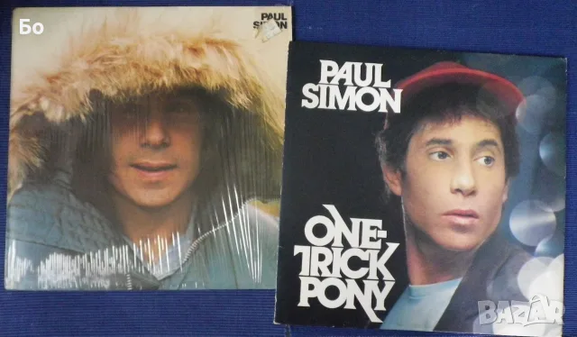 грамофонни плочи Simon And Garfunkel + Paul Simon, снимка 11 - Грамофонни плочи - 54102570