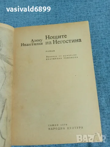 Алеку Гилия - Нощите на Негостина , снимка 4 - Художествена литература - 56261235