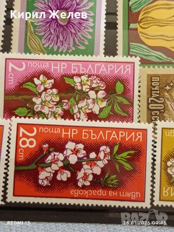 Стари пощенски марки от цял свят смесени ЦВЕТЯ за КОЛЕКЦИЯ ДЕКОРАЦИЯ 52116, снимка 9 - Филателия - 53217789