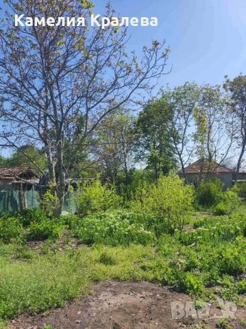 с.Селановци Продавам урегулиран парцел, снимка 4 - Парцели - 47039471