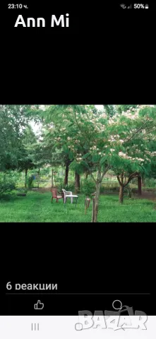  Имот!Продавам 2 къщи с 2 дка двор, снимка 8 - Вили - 50347738