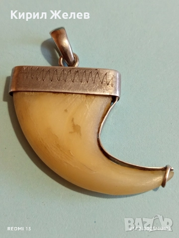 Сребърен медальон с тигров нокът с Индийски дизайн и сребърен обков 51789