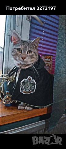 Наметало за котка и куче КОСПЛЕЙ - модерен дизайн, снимка 8 - За котки - 40460317