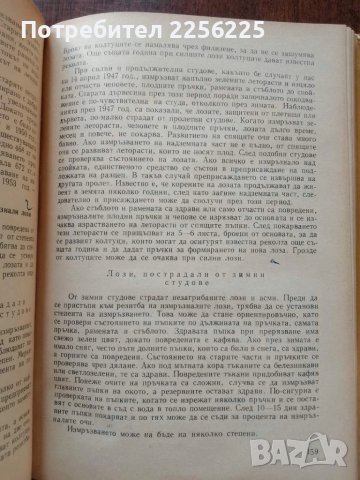 Лозарство, снимка 4 - Специализирана литература - 50611494