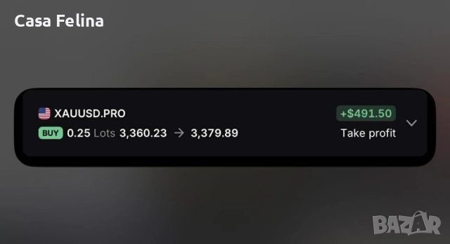 До $200 000 за търговия - финансиране + печалбите са твои!, снимка 8 - Надомна работа - 51583993