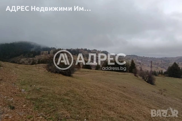 Поземлен имот, снимка 7 - Парцели - 51105225