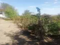 Къща във местността Орлето.  , снимка 6