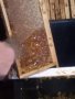 Пчелен Мед , снимка 6