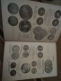 Каталог на модерните световни монети 53710, снимка 8