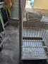 Клетка за птици + аксесоари, снимка 6