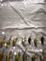 Комплект 13 бр. кранкбейти – 11x Salmo, 2x Ugly Duckling, снимка 2