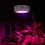 лед LED лампа за отглеждане на растения, Зеленчуци, Стайни растения, снимка 1